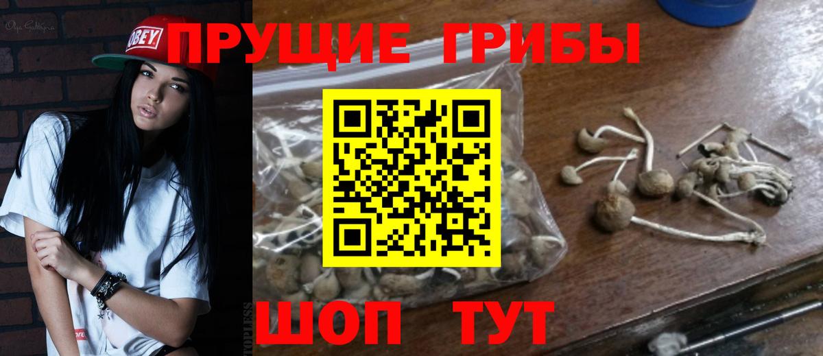 Галлюциногенные грибы Magic Shrooms Гурьевск