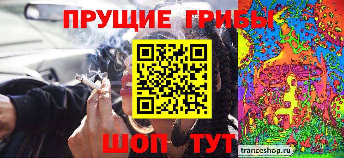 где купить   Вход с VPN  Гурьевск  Псилоцибиновые грибы Psilocybine cubensis 